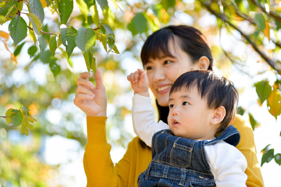 春日部ショールーム