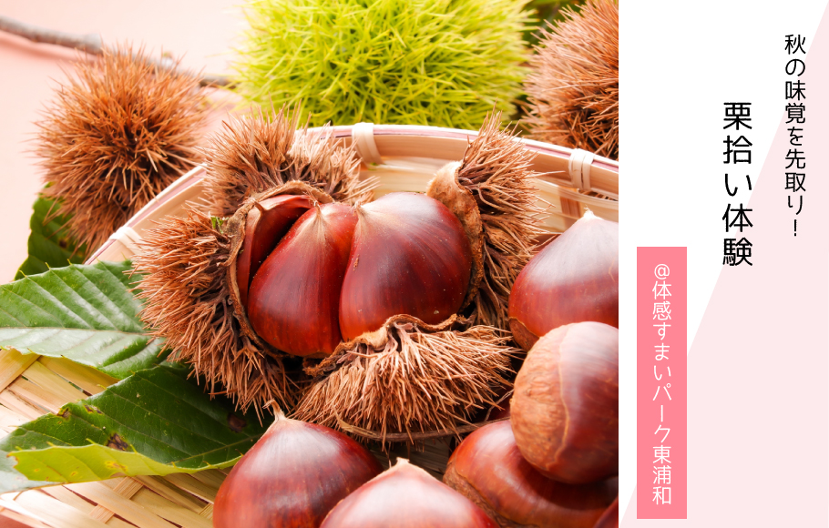【秋の味覚を先取り!】栗拾いを楽しもう♪<体感すまいパーク東浦和>