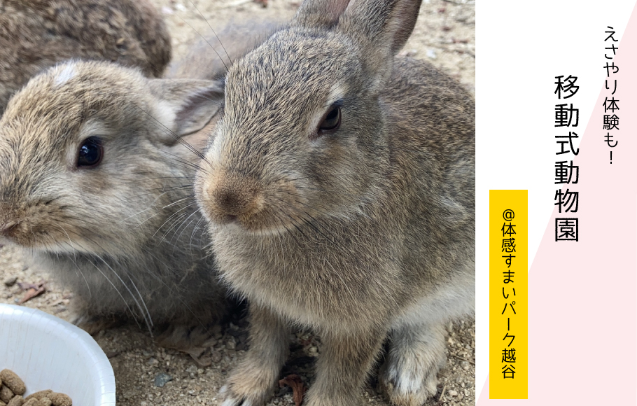 【えさやり体験もできます】ふれあい♪移動式動物園〈体感すまいパーク越谷〉