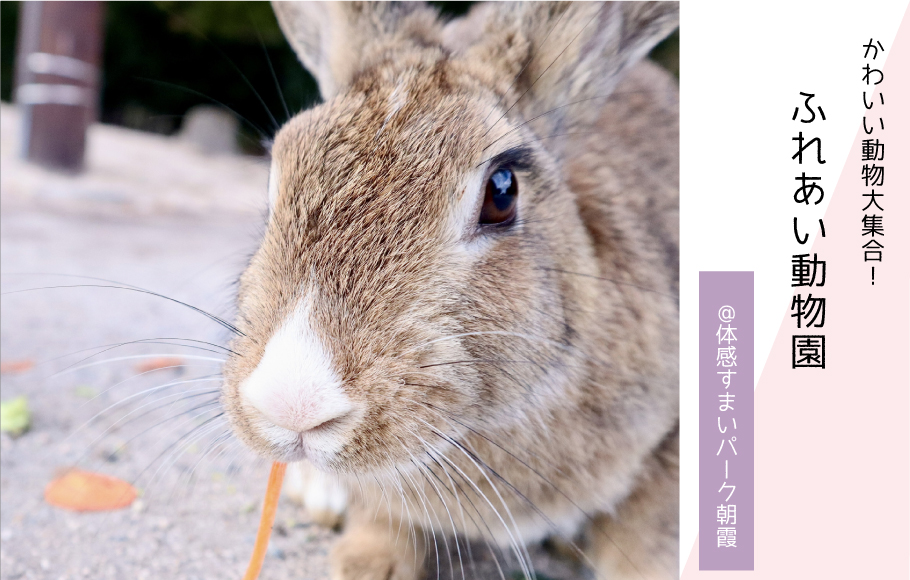 【かわいい動物大集合】ふれあい動物園 〈体感すまいパーク朝霞〉