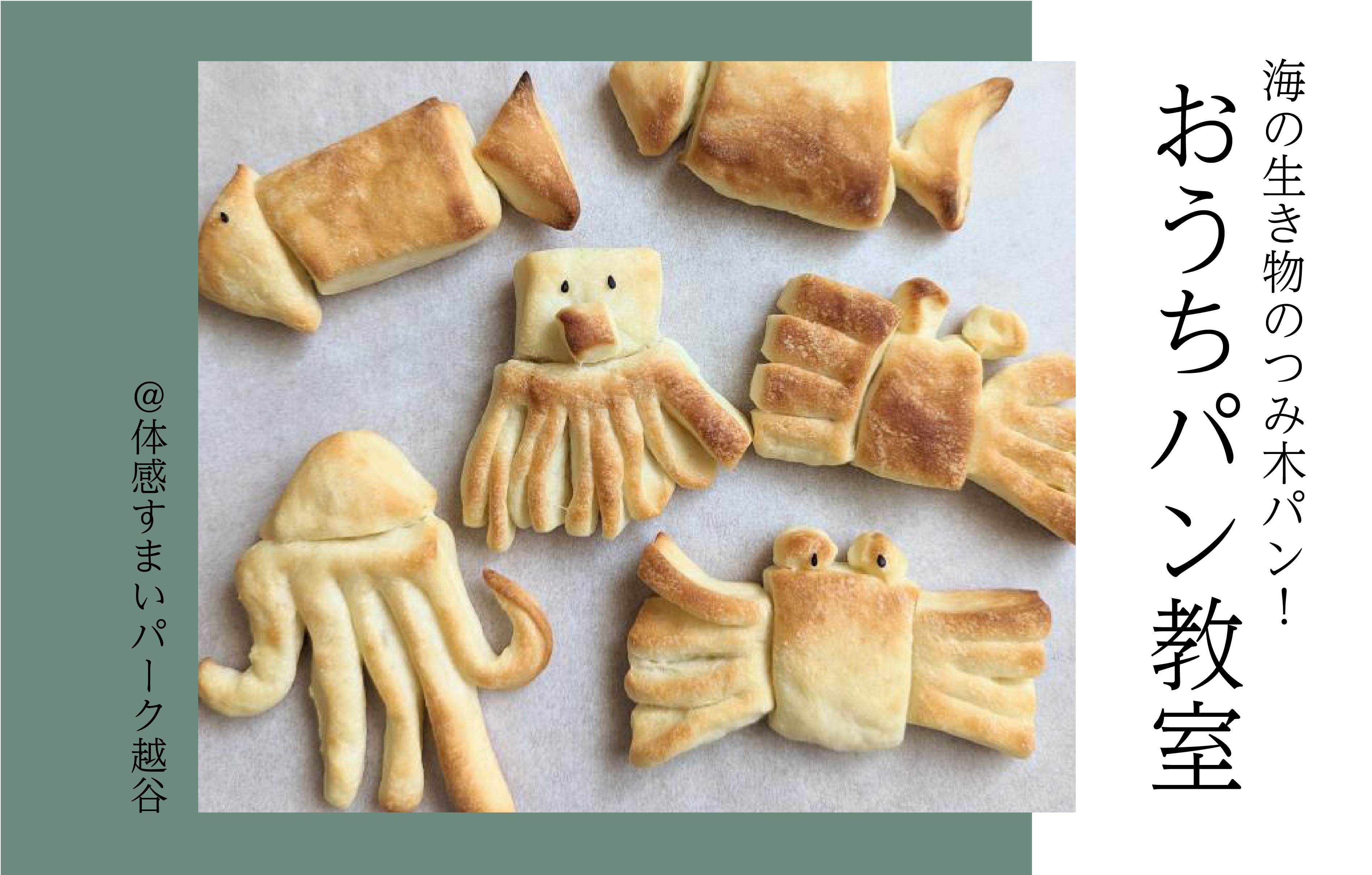 【初心者さんにピッタリ】はじめてのおうちパン教室〈体感すまいパーク越谷〉