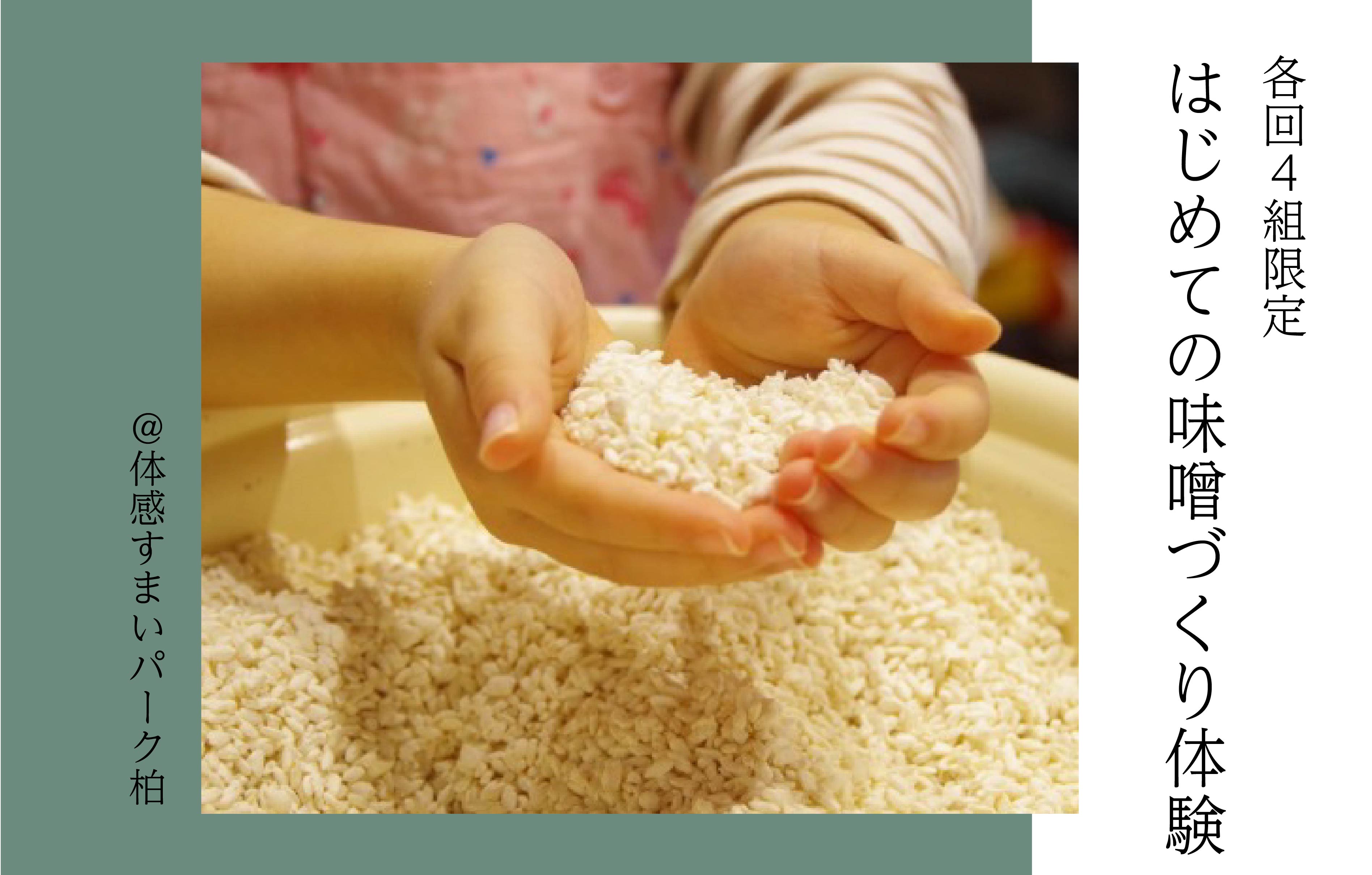 【各回4組限定】はじめての味噌づくり体験<体感すまいパーク柏>
