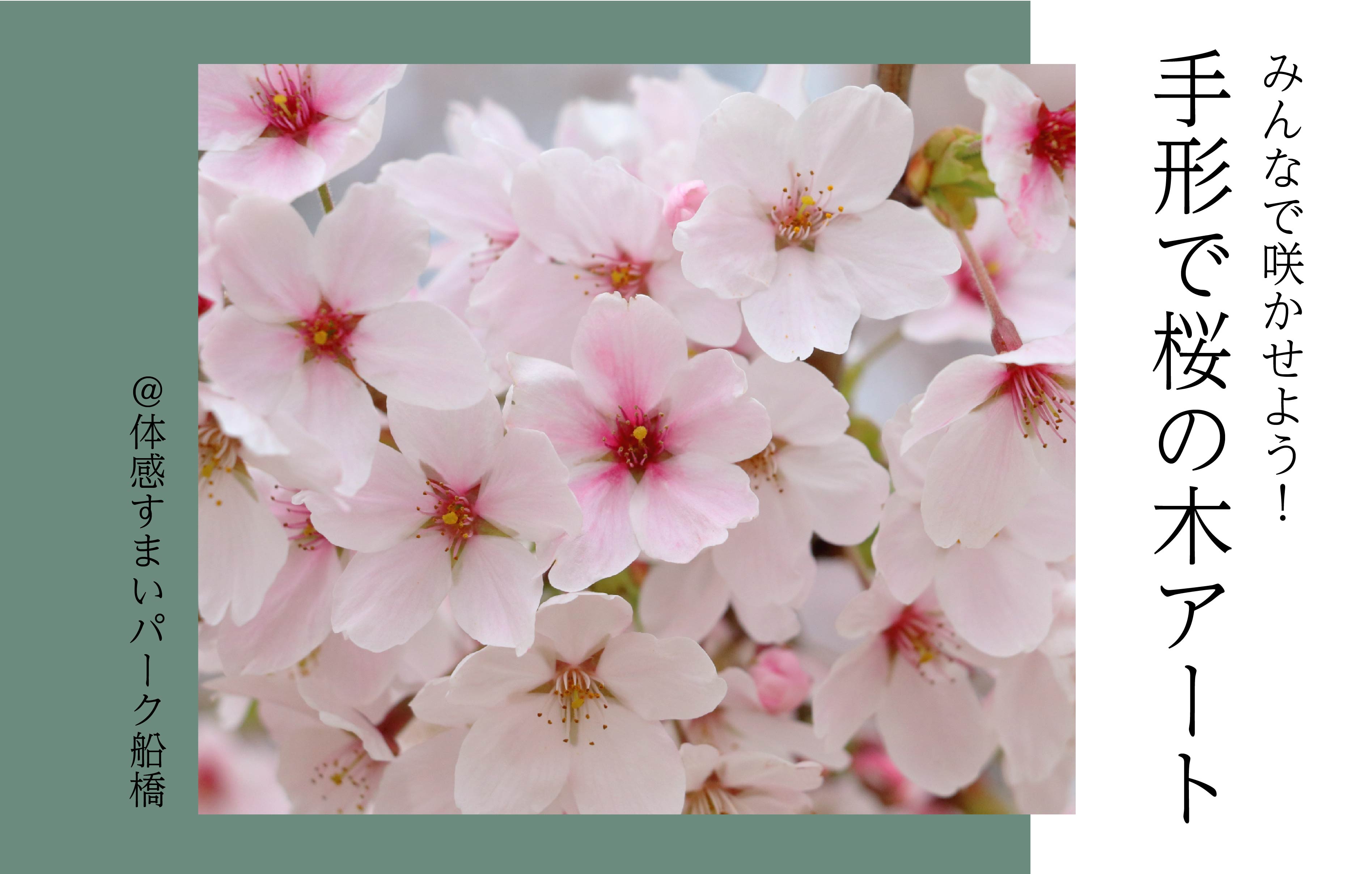 【咲かせよう】手形で桜の木アート<体感すまいパーク船橋>