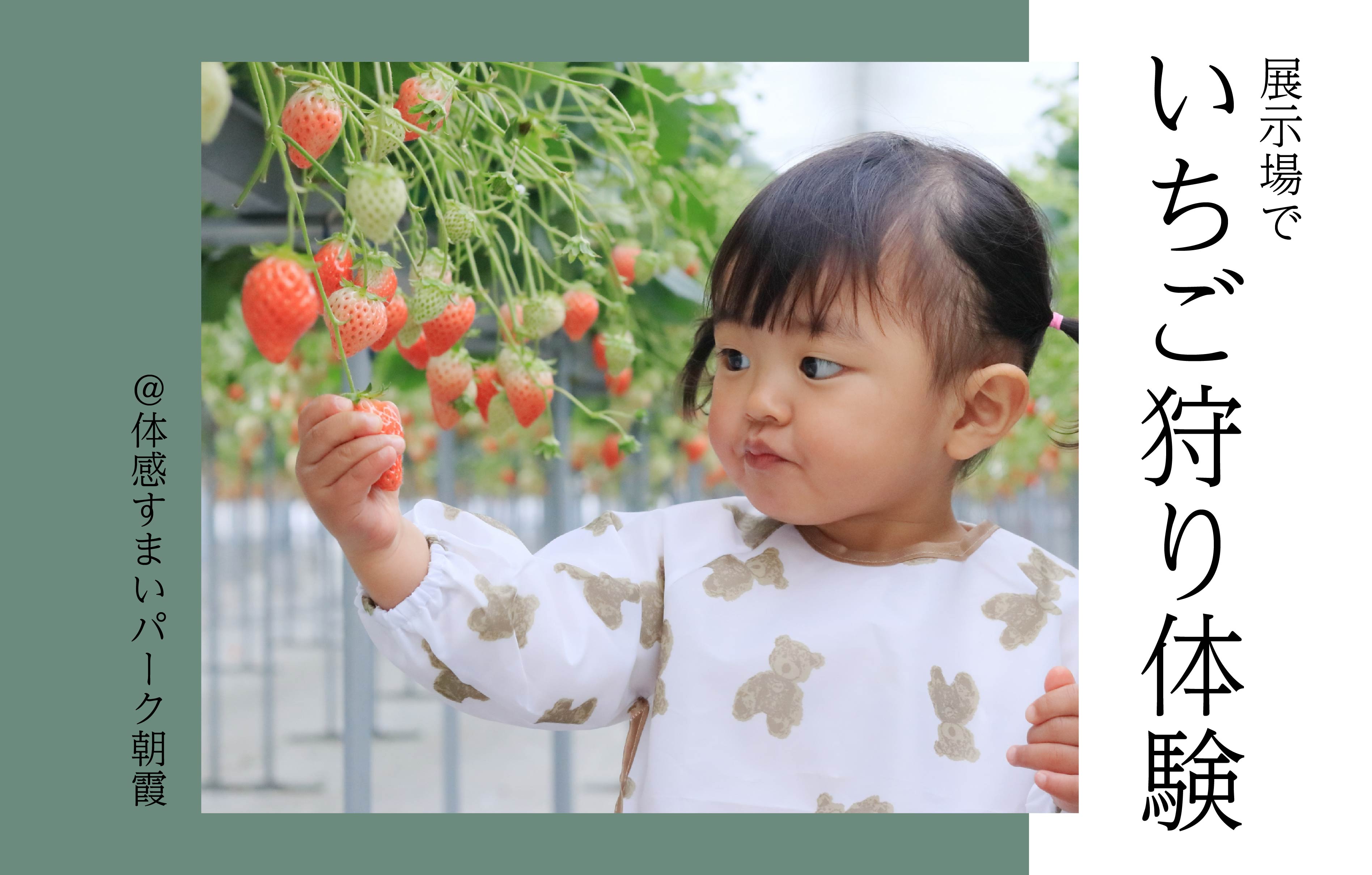 【住宅展示場で】いちご狩り体験<体感すまいパーク朝霞>