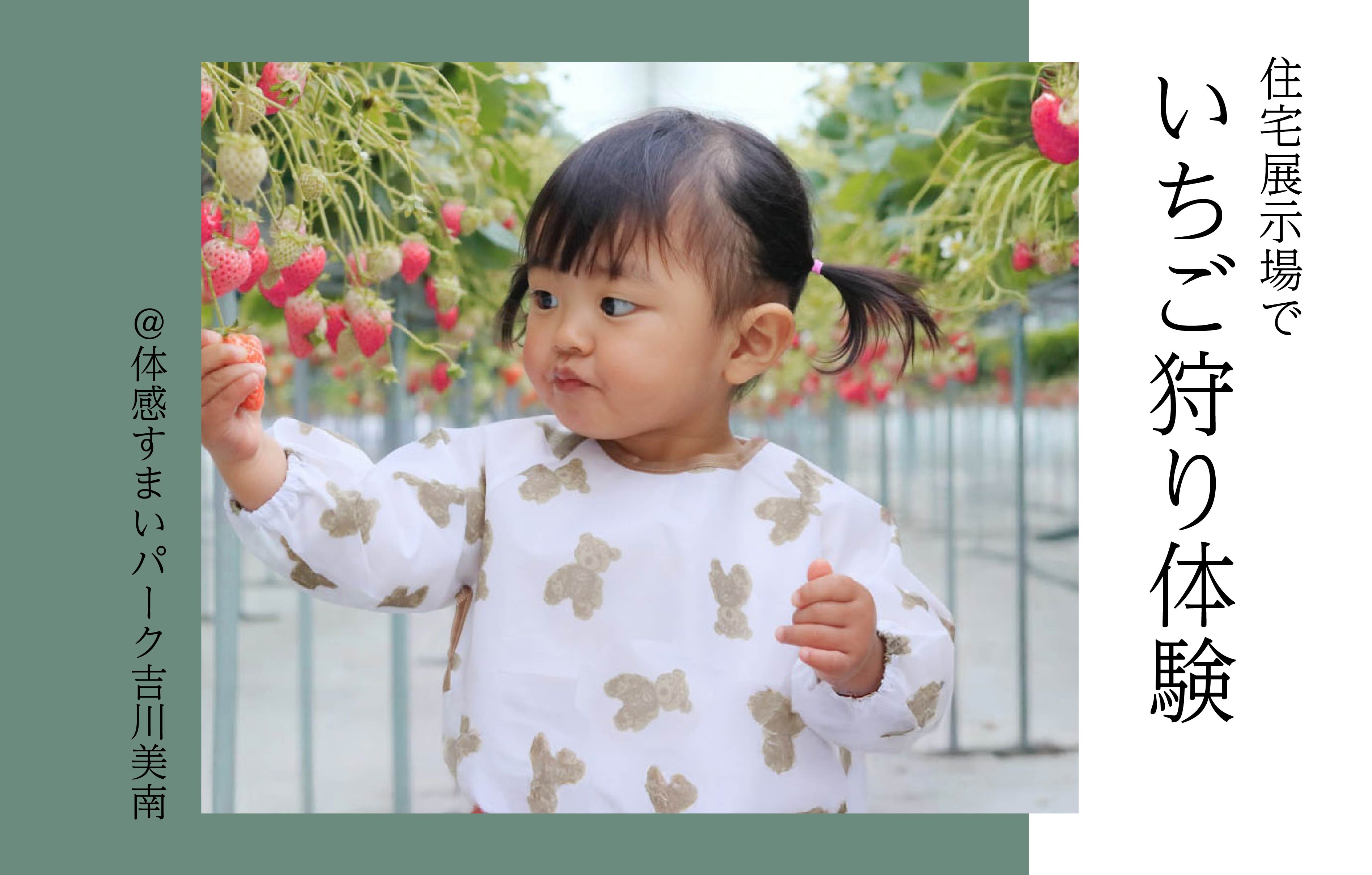 【子供向け】いちご摘み体験<体感すまいパーク吉川美南>