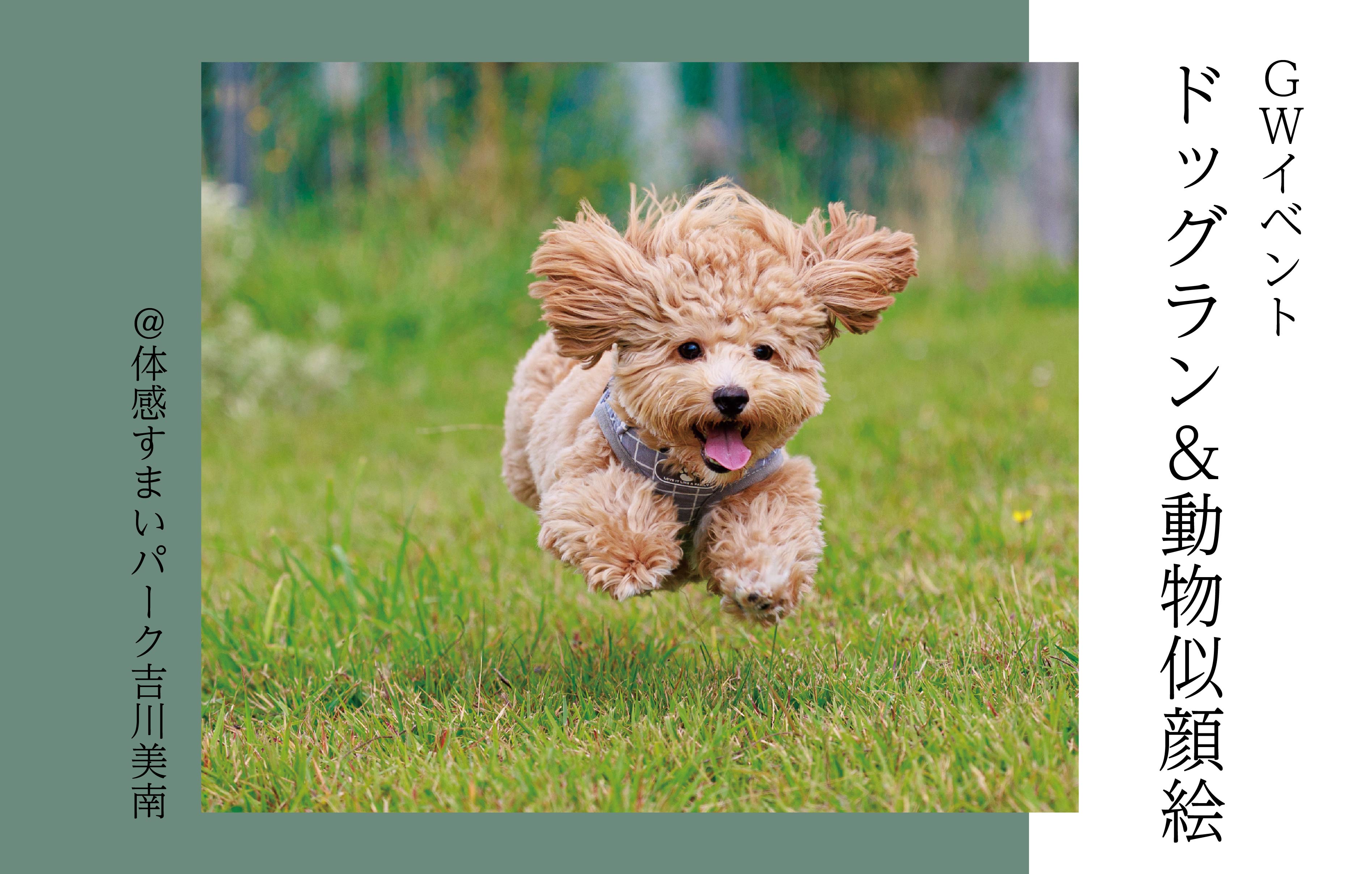 【GW】ドッグラン&動物似顔絵プレゼント<体感すまいパーク吉川美南>
