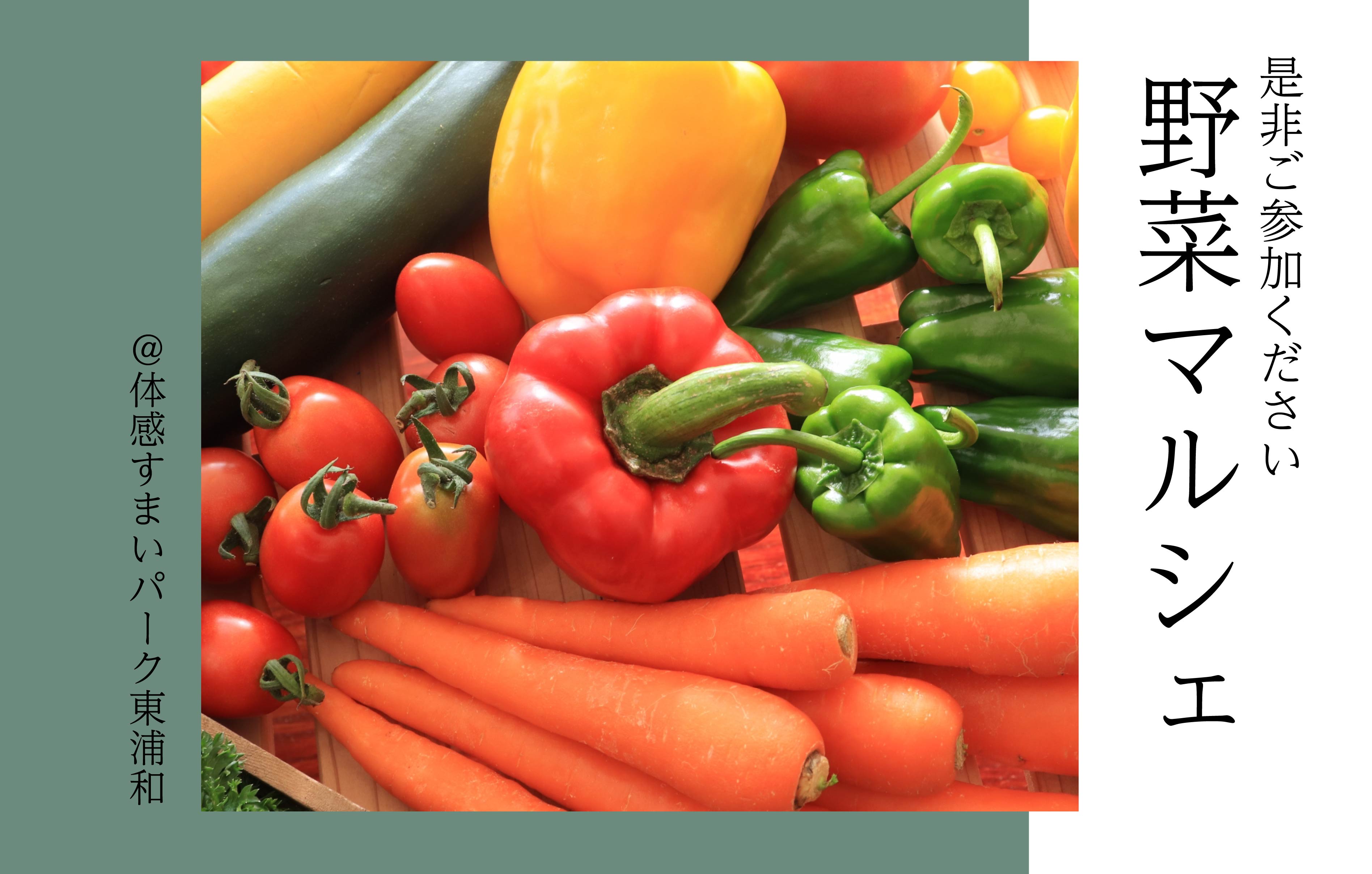 【ワクワク】野菜マルシェ<体感すまいパーク東浦和>